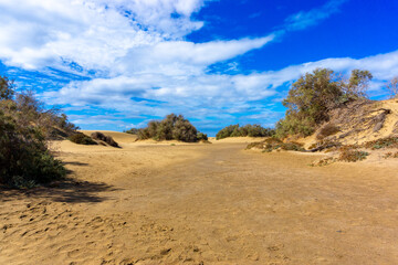Maspalomas Dunes on Gran Canary Island Spain