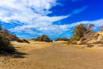 Maspalomas Dunes on Gran Canary Island Spain