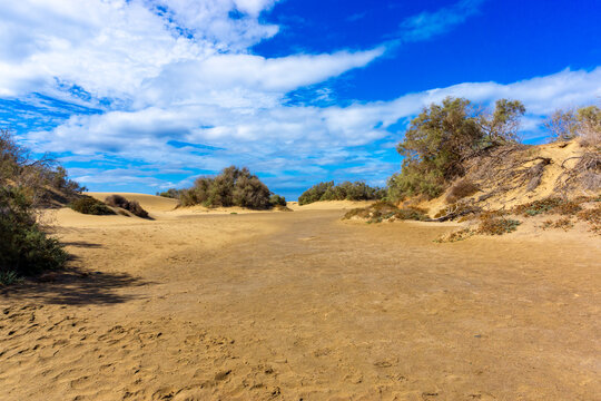 Maspalomas Dunes on Gran Canary Island Spain