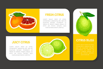 Citrus Fresh Juicy Bright Label Design Vector Template