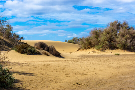 Maspalomas Dunes on Gran Canary Island Spain