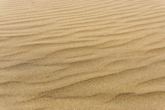 Maspalomas Dunes on Gran Canary Island Spain