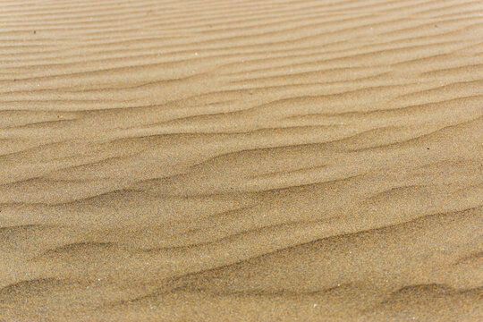 Maspalomas Dunes on Gran Canary Island Spain