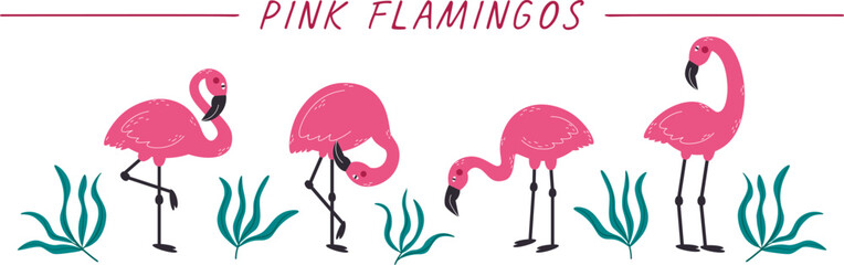 Vector background with pink flamingos and tropical plants. Exotic birds set © Anna Yakushenko