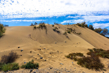 Maspalomas Dunes on Gran Canary Island Spain