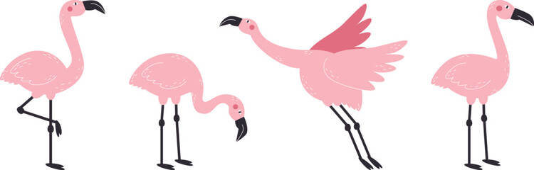 Flamingo on white background set. Beautiful pink birds