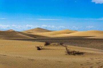 Maspalomas Dunes on Gran Canary Island Spain