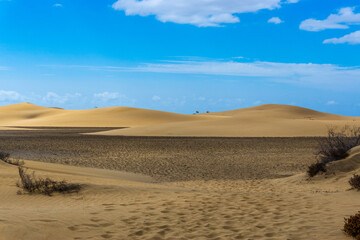 Fototapeta na wymiar Maspalomas Dunes on Gran Canary Island Spain