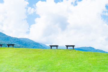 Wooden bench in green grass on slope with clouds and blue sky,Beautiful green hills, pastures and trees,space for text,copy space.