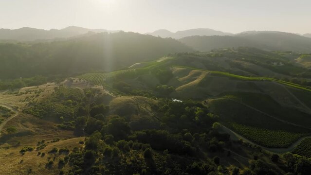 Aerial view of Napa Valley vineyard landscape during summer season. California.