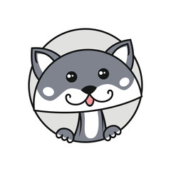 Cute Gray And White Cat In Circle