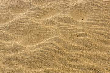 Maspalomas Dunes on Gran Canary Island Spain