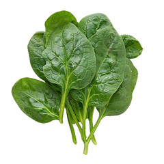 Spinach on transparent background
