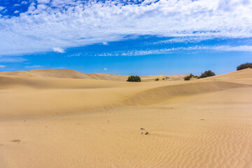 Dunes and Coastline of Maspalomas on Gran Canary Island