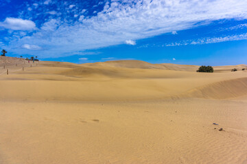 Dunes and Coastline of Maspalomas on Gran Canary Island