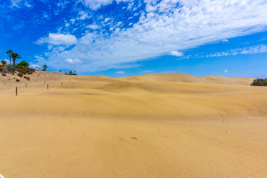 Dunes and Coastline of Maspalomas on Gran Canary Island