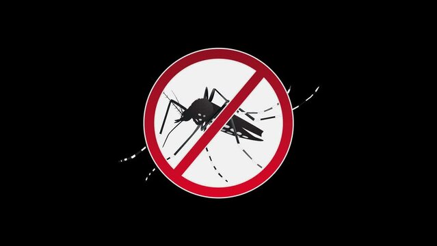  Aedes aegypti Mosquito stop sign.