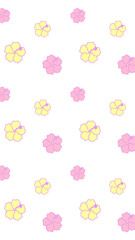 16:9 ハイビスカス白フチパターン⭐︎PNG