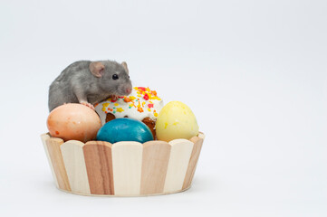 Decorative rat dumbo together with an Easter basket