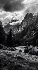 Professional monochrome photography of coniferous forest, meadow and snowy mountain peak in clouds. Graphic black and white poster of wild autumn landscape. Photo shot for interior painting.
