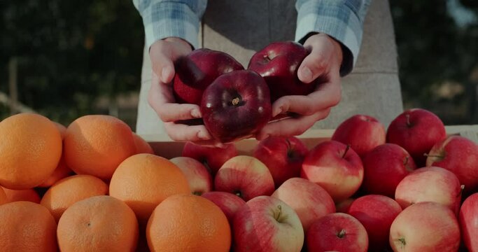 Farmer's hands holding several ripe red apples over a fruit stand