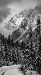 Professional monochrome photography of coniferous forest, road in snow and snowy mountain range in clouds. Graphic black and white poster of wild winter landscape. Photo shot for interior painting.