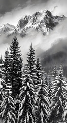 Professional monochrome photography of coniferous forest in snow and snowy mountain peak in clouds. Graphic black and white poster of wild winter landscape. Photo shot for interior painting.