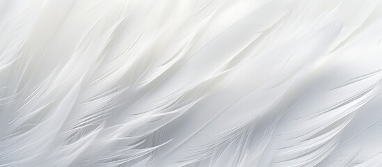 Obraz premium A detailed closeup of a white feather texture resembling the pattern of electric blue cumulus clouds in the sky, gently moved by the wind