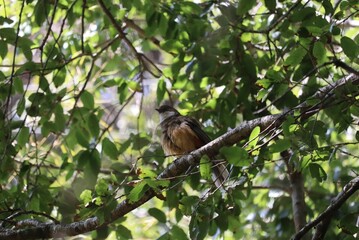 Beautiful nainital and uttarakhand view