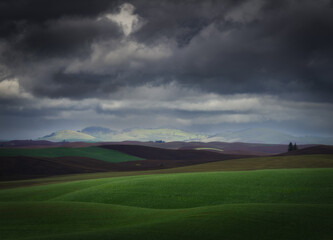 Storm rolling across the Palouse Fields