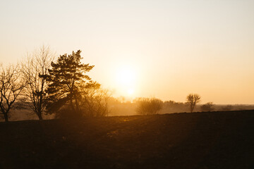 sunset over the field