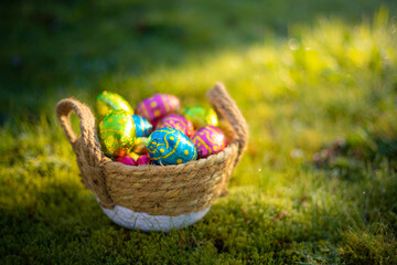 Easter eggs in basket in grass. Colorful decorated easter eggs in wicker basket. Traditional egg hunt for spring holidays. Morning magical light