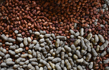 Patterns of Peeled and Unpeeled Nuts