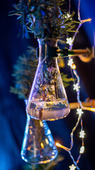 Botanical arrangement in Erlenmeyer flask with glowing fairy lights