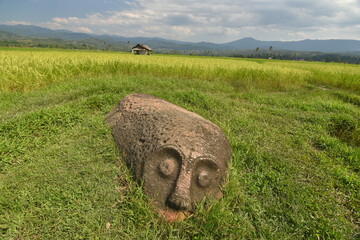 Tantaduo megalithic site in Indonesia's Behoa Valley, Palu, Central Sulawesi.