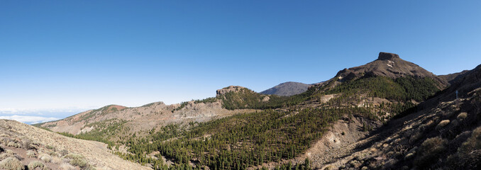 Tenerife, Spain: Teide National Park, landscape