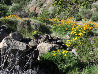 Las Raíces recreational area on the Las Lagunetas mountain