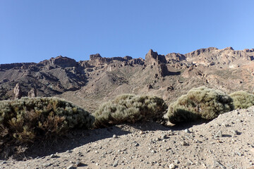 Tenerife, Spain: Teide National Park, landscape