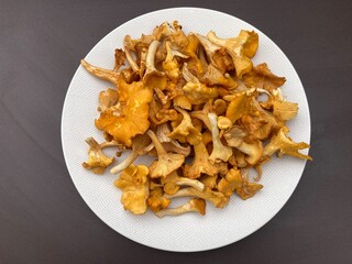 After picking, chanterelles on a plate, perspective view.
