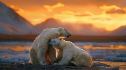 Fotobehang Two polar bears are engaging in playful behavior on an icy surface, interacting with each other in their natural habitat. © pham