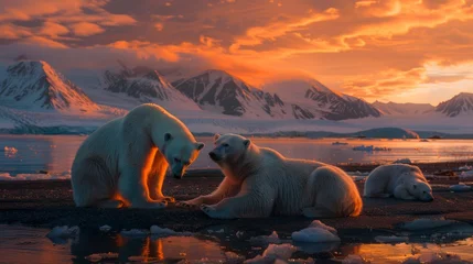 Fototapeten Two polar bears are seated on a vast expanse of ice in their natural habitat. © pham