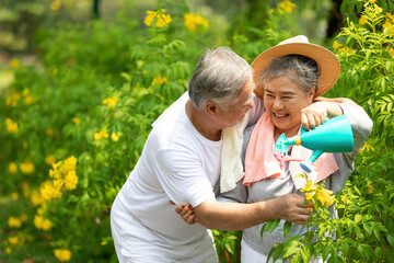 elderly couple watering a tree in the park