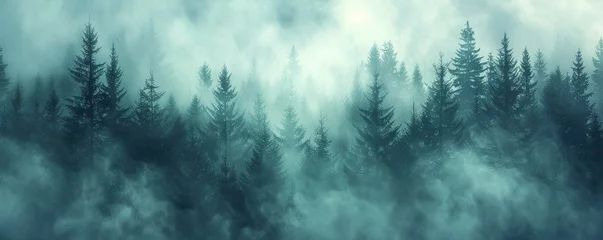 Wandaufkleber Misty forest © Coosh448