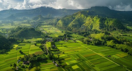 Obraz premium An expansive view from above of a valley covered in vibrant green vegetation.