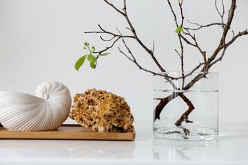 Easter concept. Shell rock, cactus, candle, tree branch with green leaves in a glass vase. White table, light background. Wooden plate. Ceramic seashell.