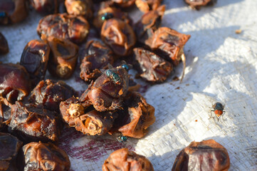 dried dates on wooden background