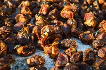close up of dry dates fruit outdoor home garden 