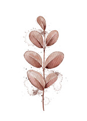 Autumn vintage plant branch with red leaves and splashes isolated on white background. Watercolor hand drawn illustration