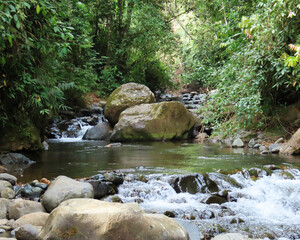 landscape in the river of crystal clear water with large and small stones, surrounded by tropical nature