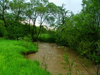 Fototapeta na wymiar Rain-Swollen River in Verdant Woodland